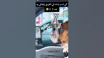 اهدر ضرك حامي ع روحك ميمز ريلز Reels 