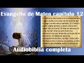 Evangelio de Mateo Capitulo 12 Audiobiblia completa Podcast