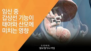 임신 중 갑상선 기능이 태아와 산모에 미치는 영향 - (20140402_498회 방송)_착한 암의 두 얼굴, 갑상선