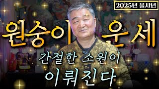 2025년 을사년 원숭이띠운세 간절히 원하는 소원이 이뤄지는 2025년 신년운세 금전운  재물운이 쏟아지는 …