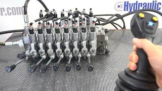Walvoil DPX 100 with 1 Proportional joystick JP 6 functions extra switch to operate 1-2-3  OR 4-5-6