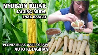 NYOBAIN RUJAK JAGUNG MUDA!!! PAKE SAMBEL RUJAK PEDAS!! BIKIN KETAGIHAN