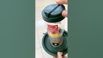 Bird Feeder | Bird Feeder | #installation #shortsvideo #shorts #birdslover #viewandrevies