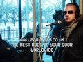 Hustle - Collie Buddz - On The Rocks - 2009