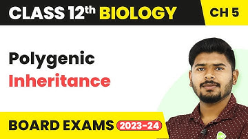 Polygenic Inheritance - Principles of Inheritance and Variation | Class 12 (2022-23)