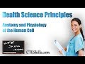 Human Cell Anatomy and Physiology Quiz