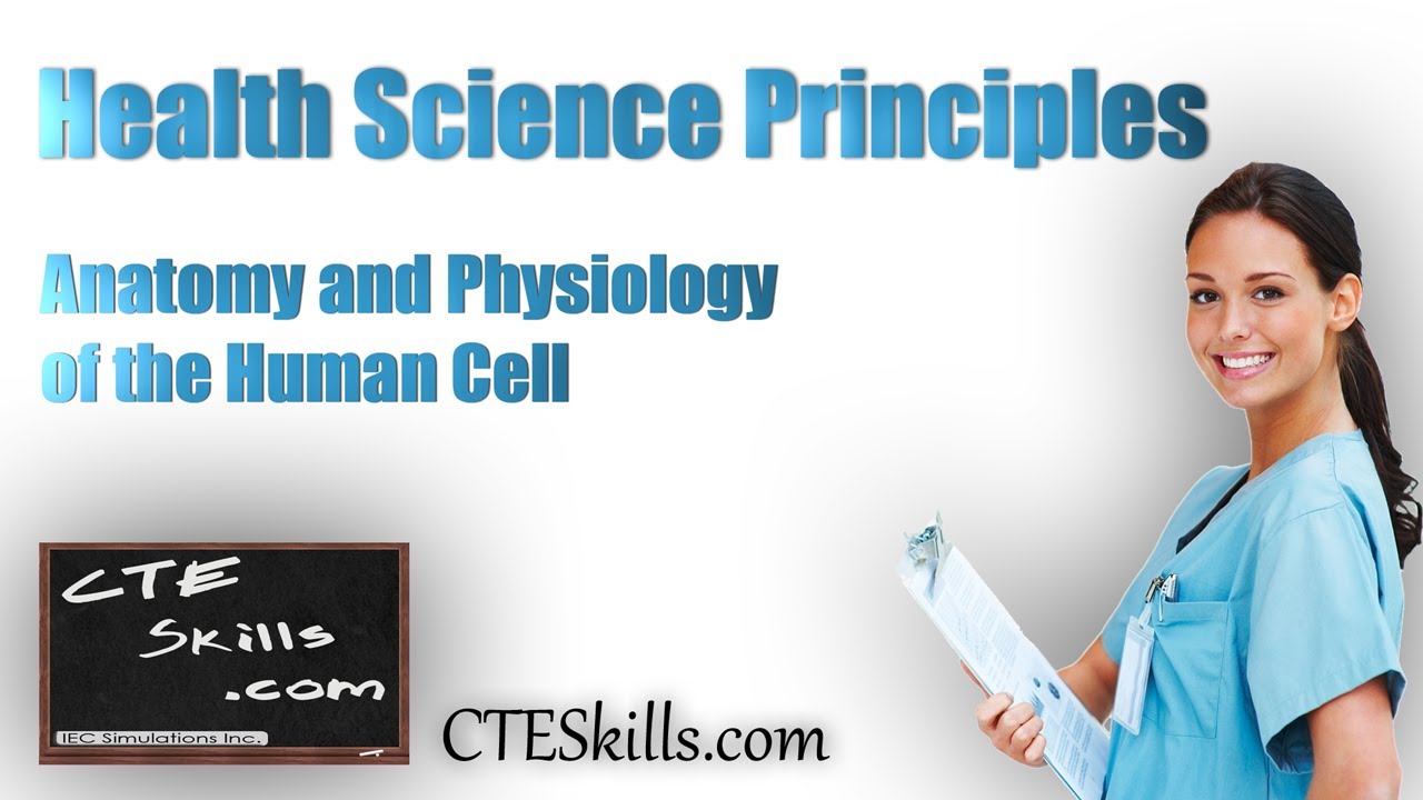 Anatomy and Physiology of the Human Cell - YouTube