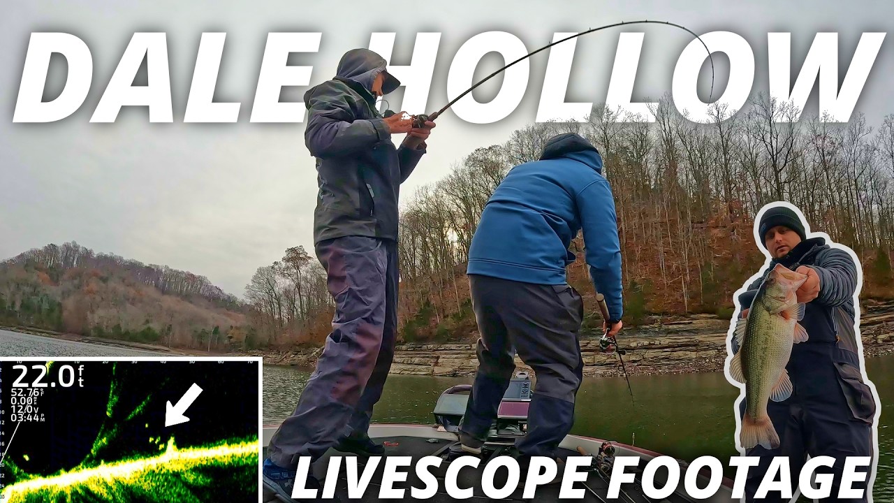 Searching for Winter Bass at Dale Hollow Lake
