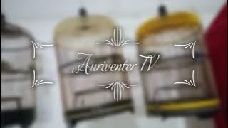 Auto respon 100 %