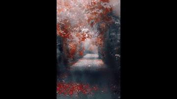 Lời Thề Trước Miễu | Tập 1 | Hồ Biểu Chánh  .:: Truyện Đêm Muộn ::.