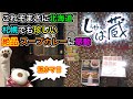 【札幌グルメ】これぞまさに北海道！札幌でも珍しい絶品スープカレーに感動！