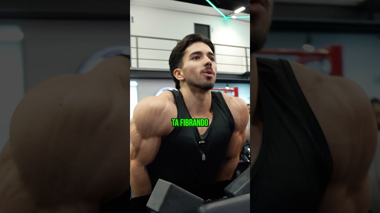 OMBRO DE GUERREIRO Z #shape