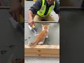 ならした瞬間に猫スタンプ…しかも座り跡まで🐱🐾😂#cat #cute #footprints #construction #japan @chiero_piero