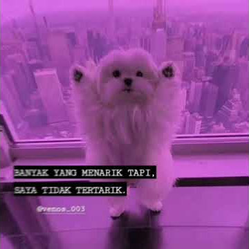STORY WA 30 DETIK KEREN TERBARU 2020 | STATUS WHATSAPP KEREN KEKINIAN