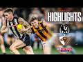 Collingwood v Hawthorn Highlights | Round 8, 2026 | AFL