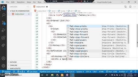 HTML CSS Lecture  4 Tags In Combination Urdu Hindi By Usman Akram