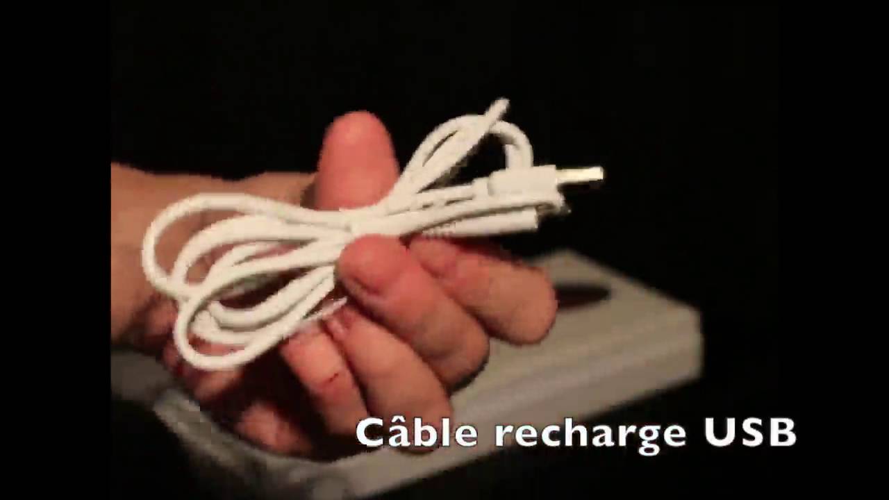 SVAKOM Leslie vibromasseur rechargeable Stimulateur G point vibrateur silicone chauffant silencieux