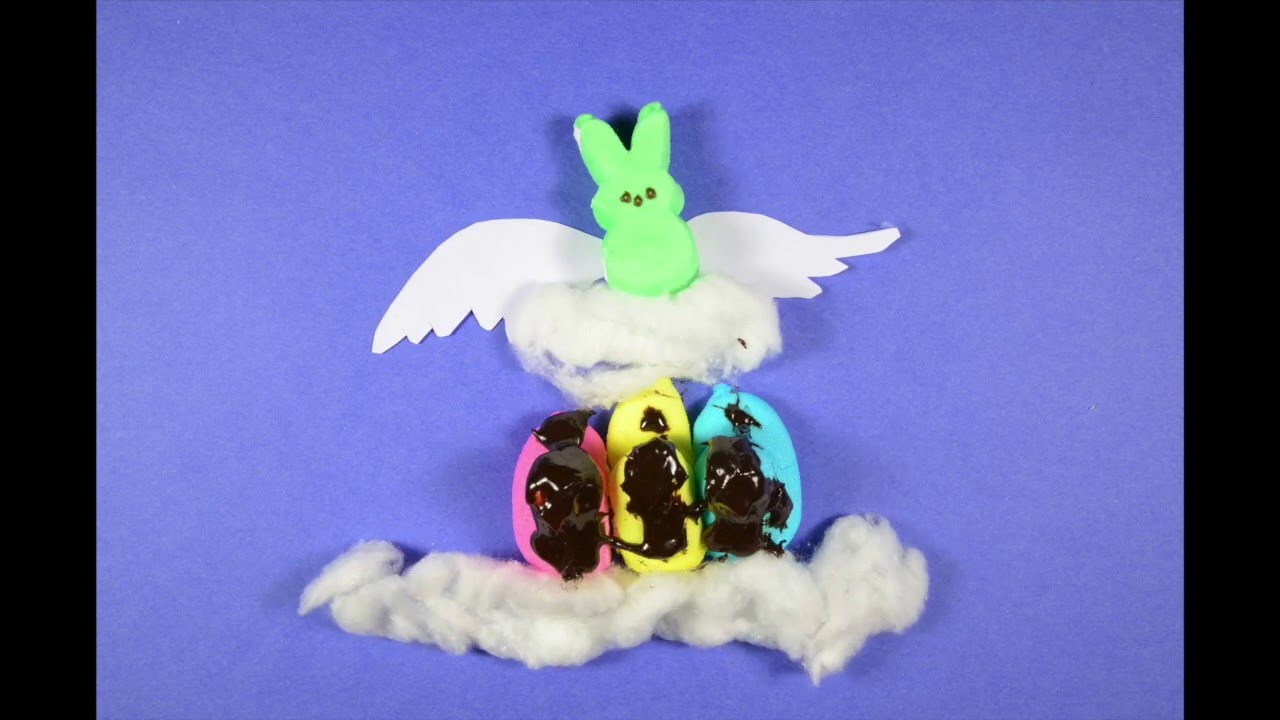 Single Frame/Stop Motion Animation- Rabbits & Peeps - YouTube
