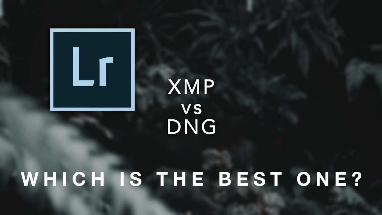 .dng V/s .xmp | Simple comparisons | Lightroom Mobile | PiXinCreate