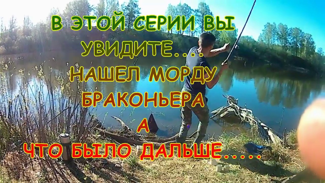 Клев на оке