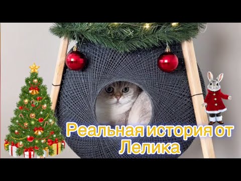 Реальная история 🎄(полная версия)