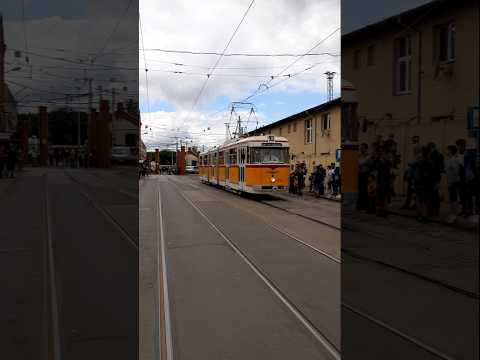 FVV Bengáli villamos - 1233 indul N38-as járattal Hungária kocsiszíntől a Blaha Lujza térre