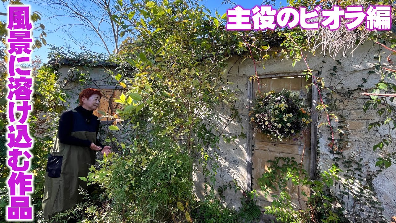 植物いろいろハンギング Hanging that blends into the landscape PART 3] Decorating a