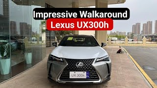 2024 Lexus UX300h Walkaround