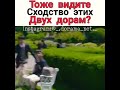 Отрывки из дорам / Истинная красота & Случайно найденный Ха Ру / моменты / сходство 😍❤️😁