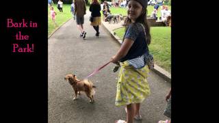 Ruby went to Bark in the Park