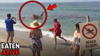 The Most TERRIFYING Animal Attacks Ever In History!