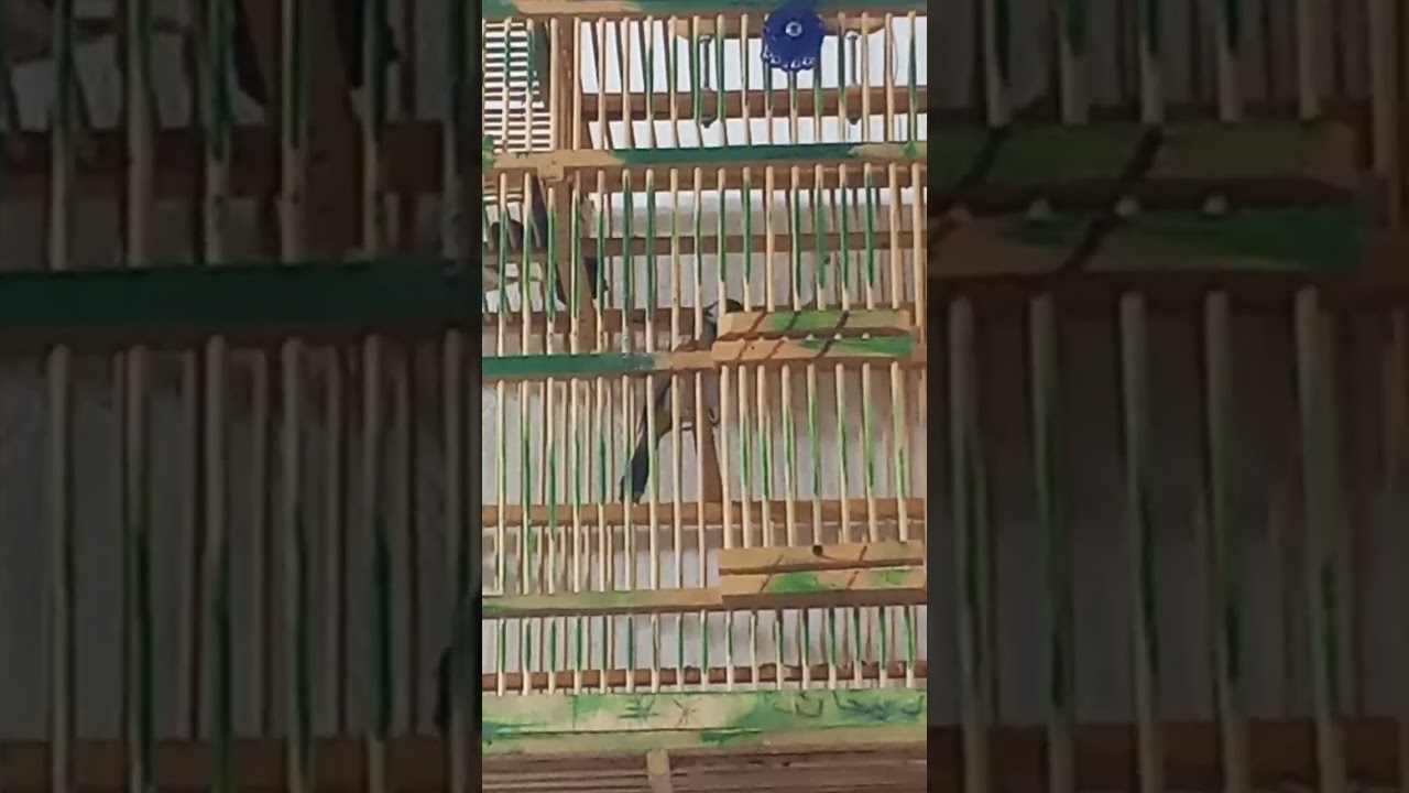 ١٦ نوفمبر ٢٠٢٥