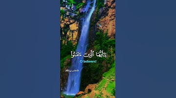 تلاوة خاشعة قرأن كريم راحة نفسية بصوت جميل #elmulquranعلم #قران_كريم #تلاوة #المصحف #trend