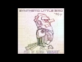 Tao h   synthetic little bird dreamer lp