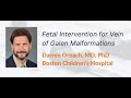 "Vein of Galen Malformation Treatment" by Dr. Darren Orbach for OPENPediatrics