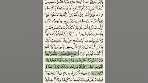 اليوم 38 : سورة البقرة 234- 237