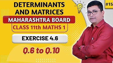 Determinants & Matrices | Exercise 4.6 | Q.6 to Q.10 I Maths I | Class 11th New Syllabus | P N Sir