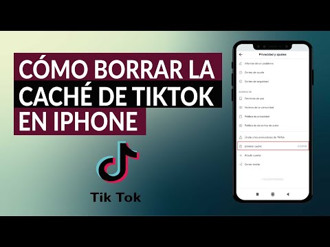 ¿Cómo Borrar la Caché de TikTok y Liberar Espacio en iPhone? - Paso a paso