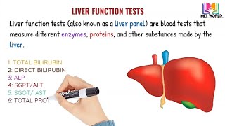 Liver Function Tests II LFTs II Normal Ranges of LFTs. Animation video. MLT WORLD.