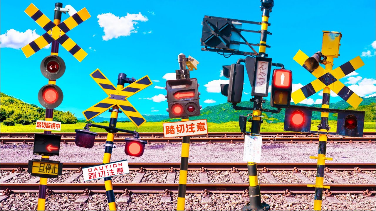 Greedy Railroad Crossing 😂