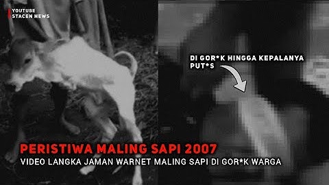 Peristiwa Mal!ng Sapi 2007 Viral!