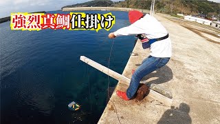 堤防からハチャメチャ仕掛けにとんでもない真鯛が釣れて大笑い！