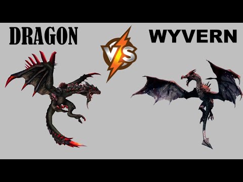 Dragons vs Wyverns - How Would You Spot One?