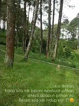 story wa// Rossa-Cinta dalam hidupku