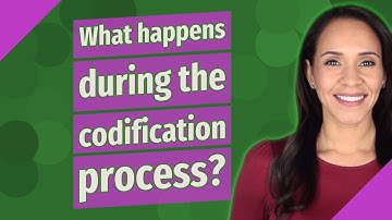 What happens during the codification process?