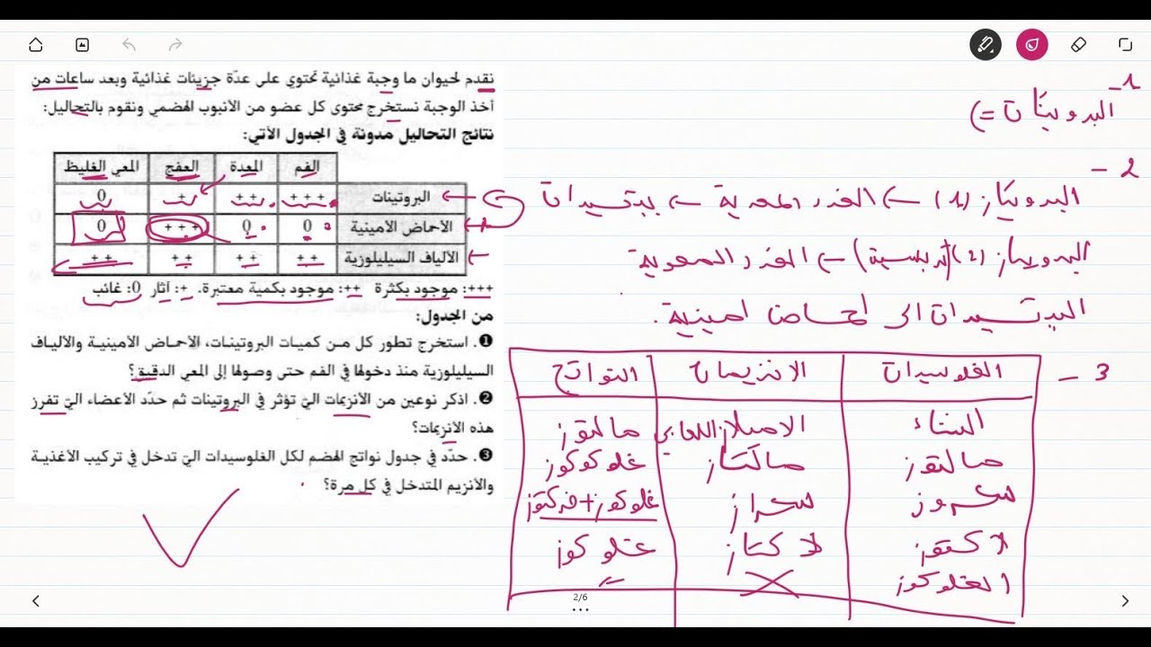 علوم طبيعية للسنة الرابعة متوسط تمرين حول الهضم و الانزيمات