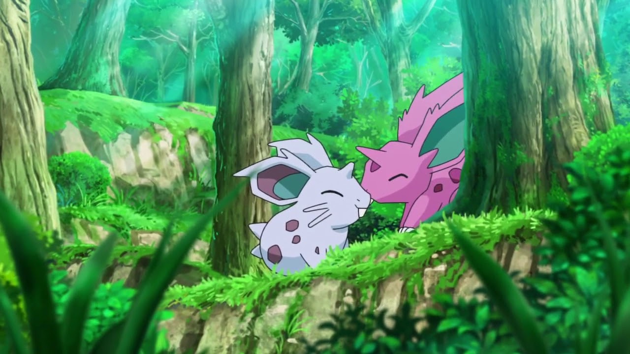 Adorable Nidoran Couple From The New 2019 Pokemon Pilot Episode YouTube adorable-nidoran-couple-from-the-new-2019-pokemon-pilot-episode-youtube
