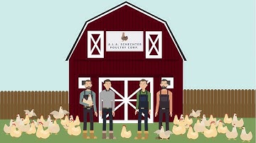 A.L.A. Schechter Poultry Corp. v. United States Case Brief Summary | Law Case Explained