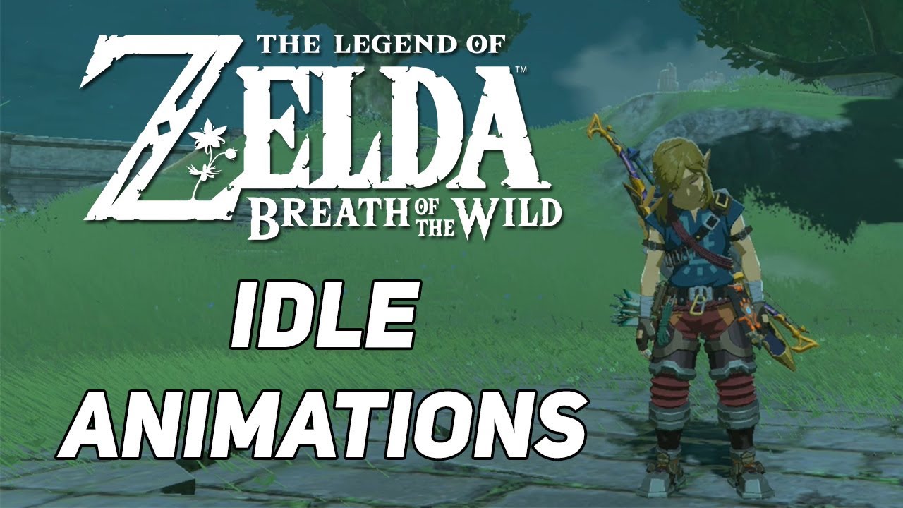 Zelda: Breath of the Wild - Idle animations