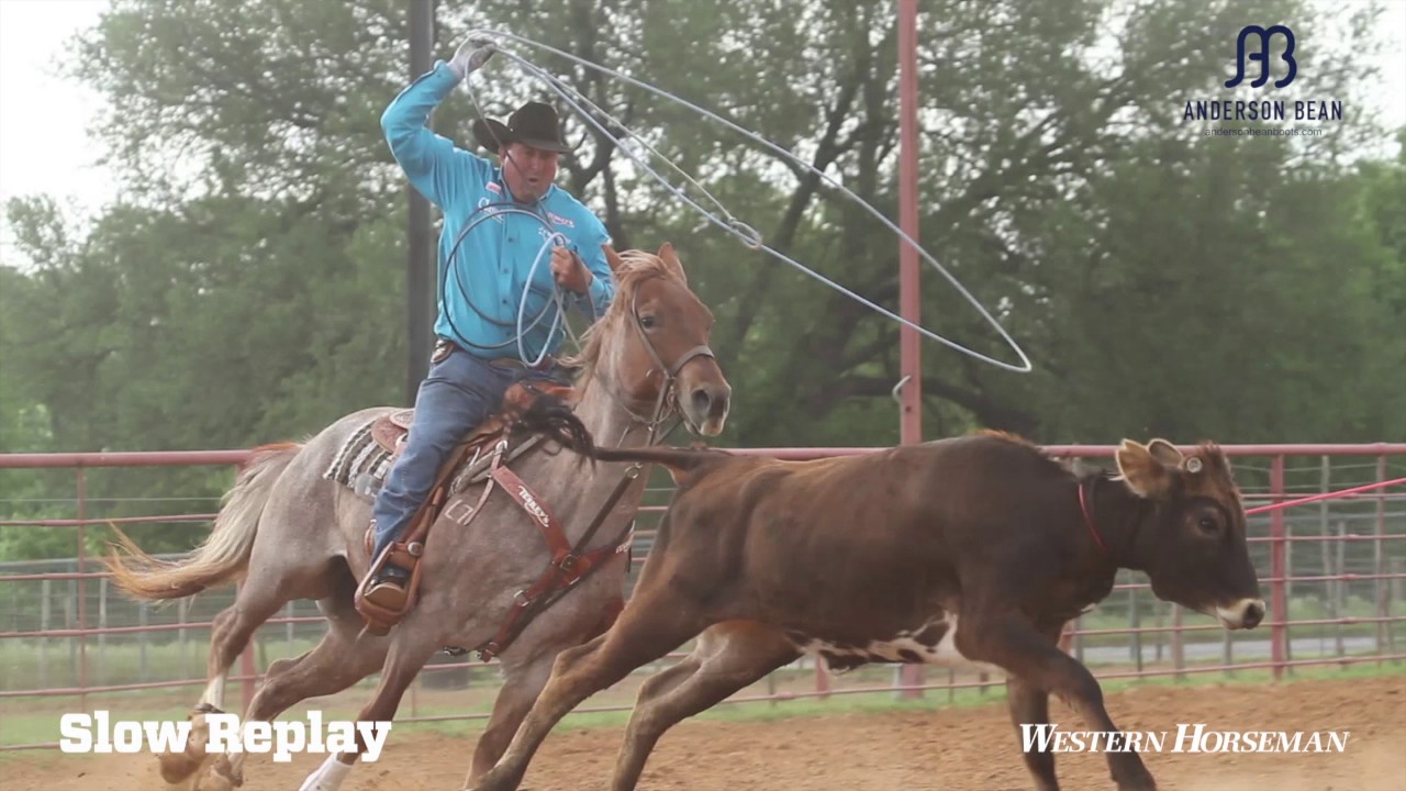 Clay Logan shares tips on training a heel horse YouTube